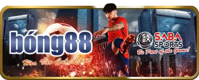 Cá cược quần vợt wynn08 khuyến mãi